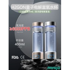 H2GON氢气水瓶 / Hydrogen Water Bottle ( 高达6000ppb)